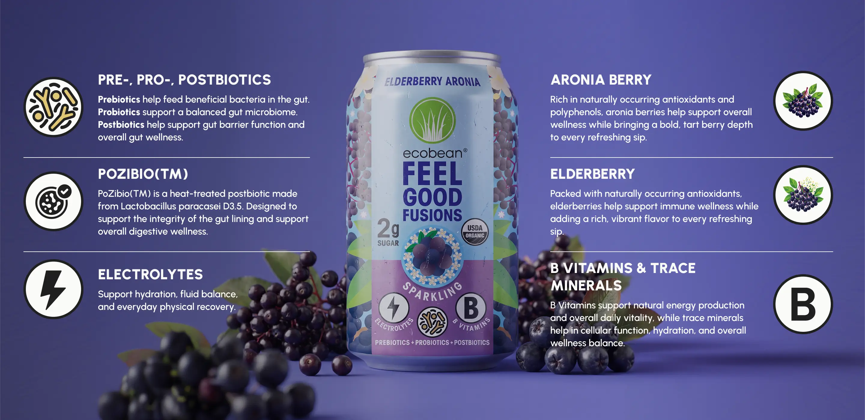 Ecobean - Feel Good Fusion - Ingredients - Elderberry Aronia - Desktop