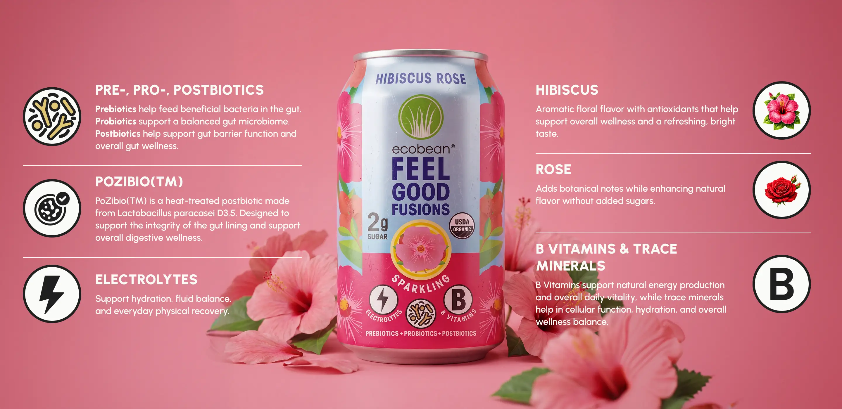 Ecobean - Feel Good Fusion - Ingredients - Hibiscus Rose - Desktop