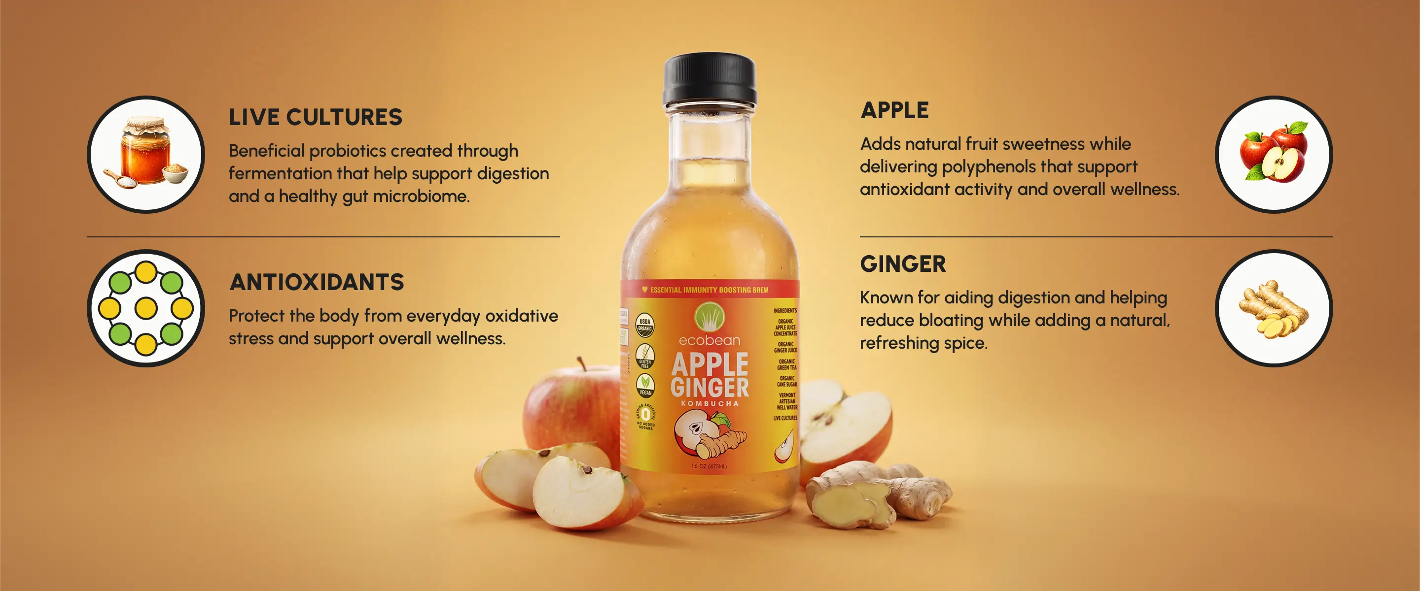 Ecobean - Kombucha - Ingredients - Apple Ginger - Desktop