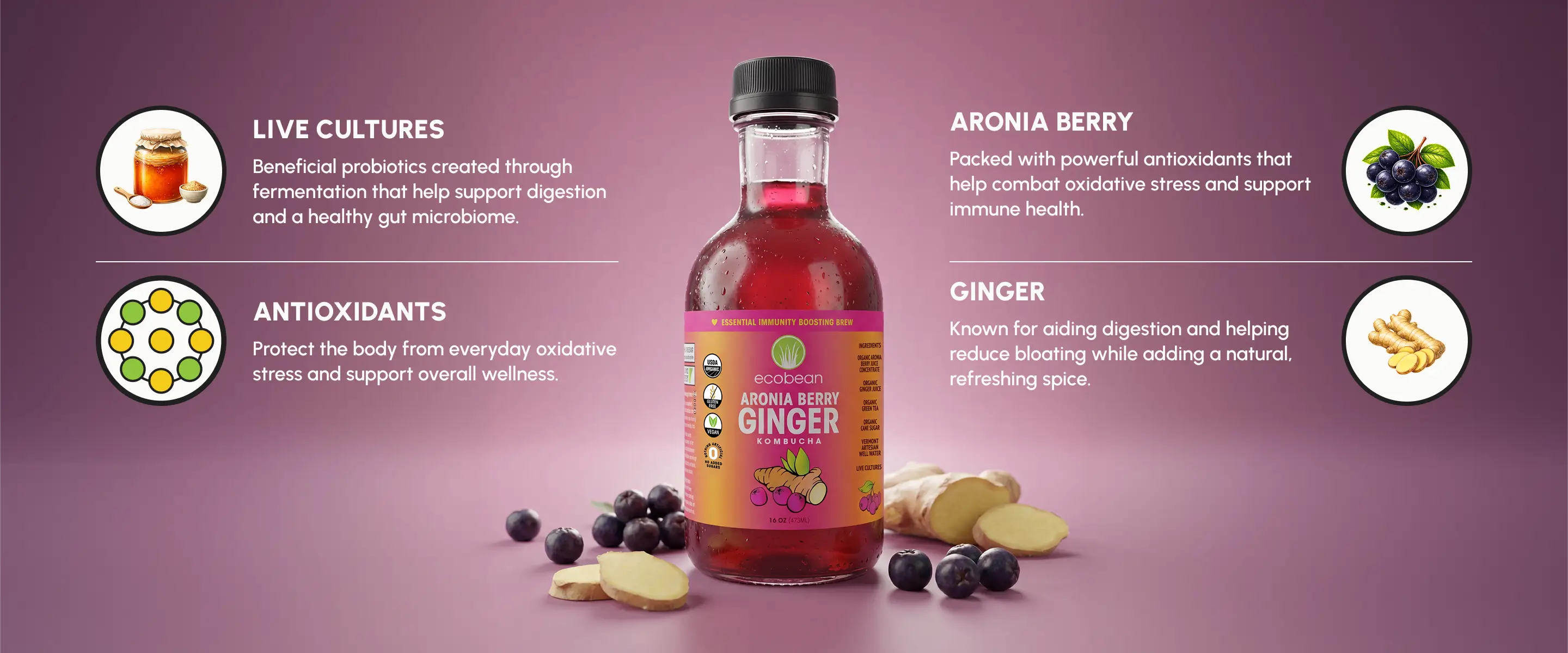 Ecobean - Kombucha - Aronia Berry Ginger - Ingredients - Desktop