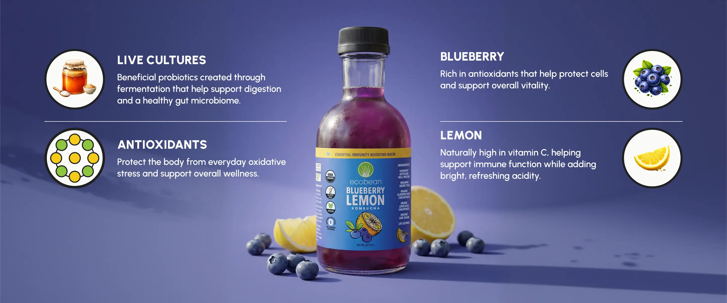 Ecobean - Kombucha - Blueberry Lemon -Ingredients - Desktop