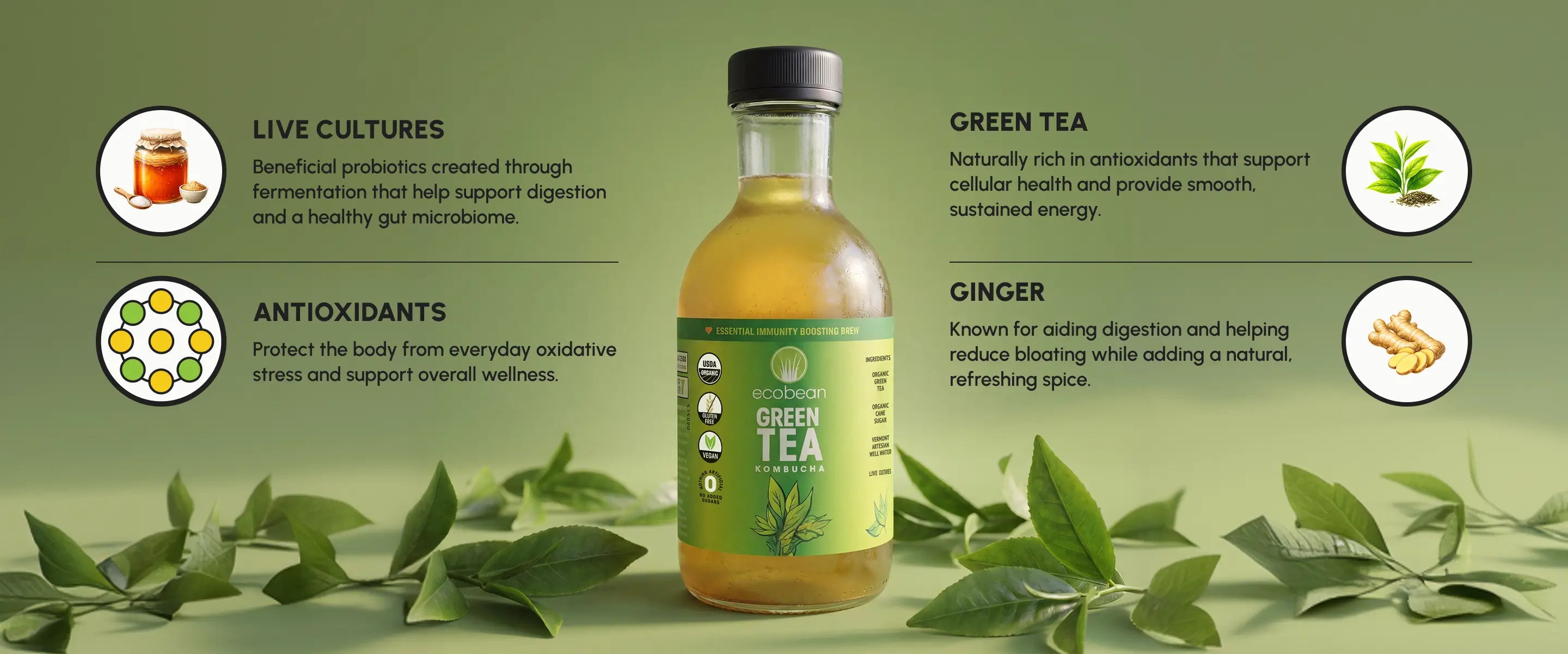 Ecobean - Kombucha - Green Tea -Ingredients - Desktop