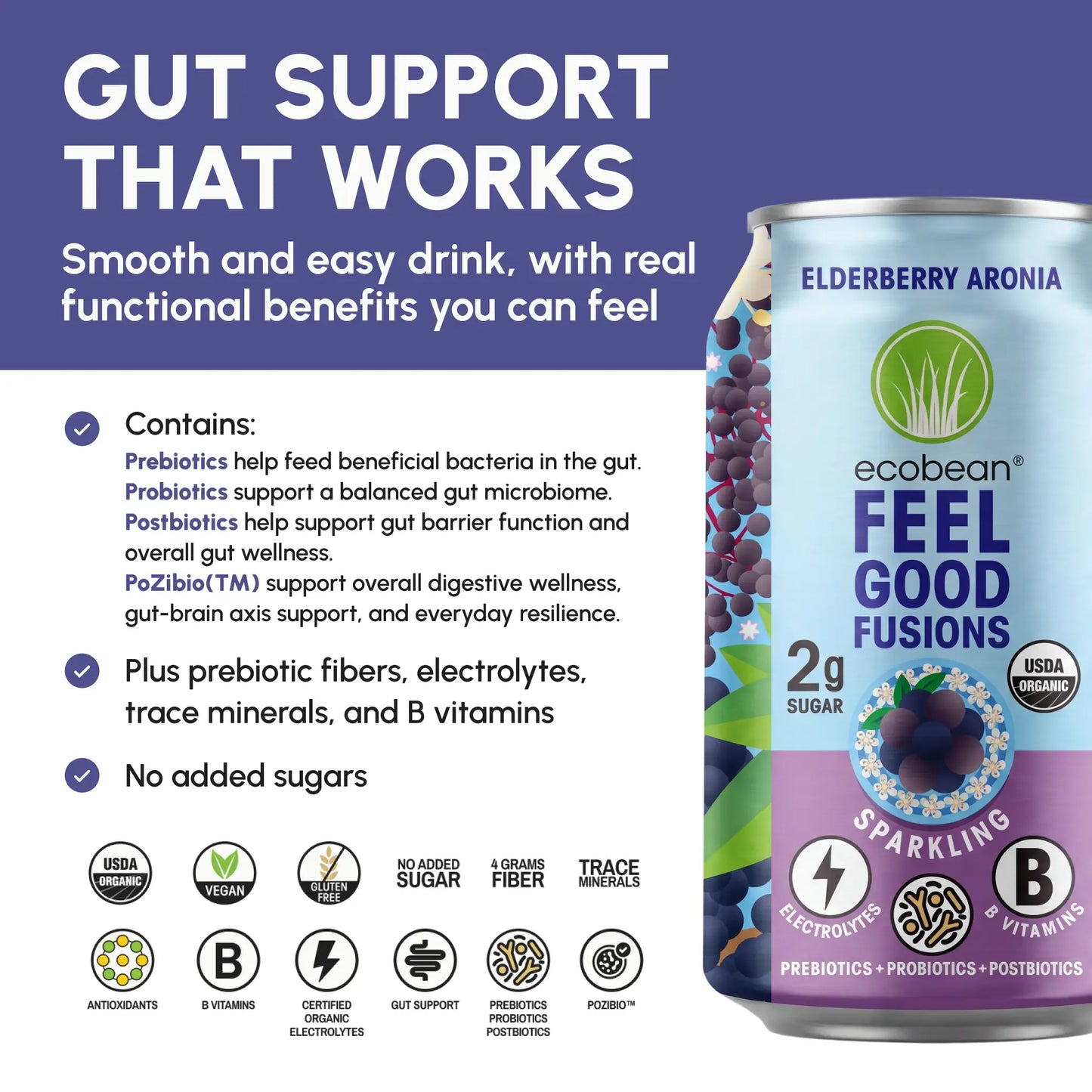 Ecobean - Feel Good Fusions - Elderberry Aronia - 5