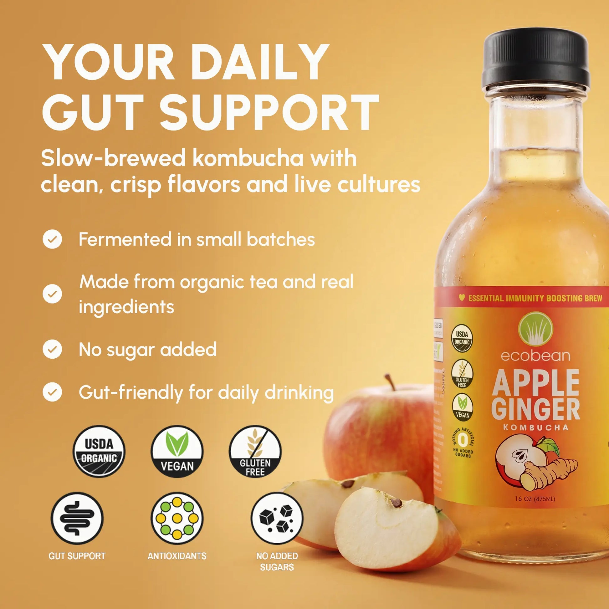 Ecobean - Kombucha - Apple Ginger - 3