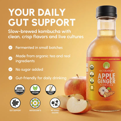 Ecobean - Kombucha - Apple Ginger - 3