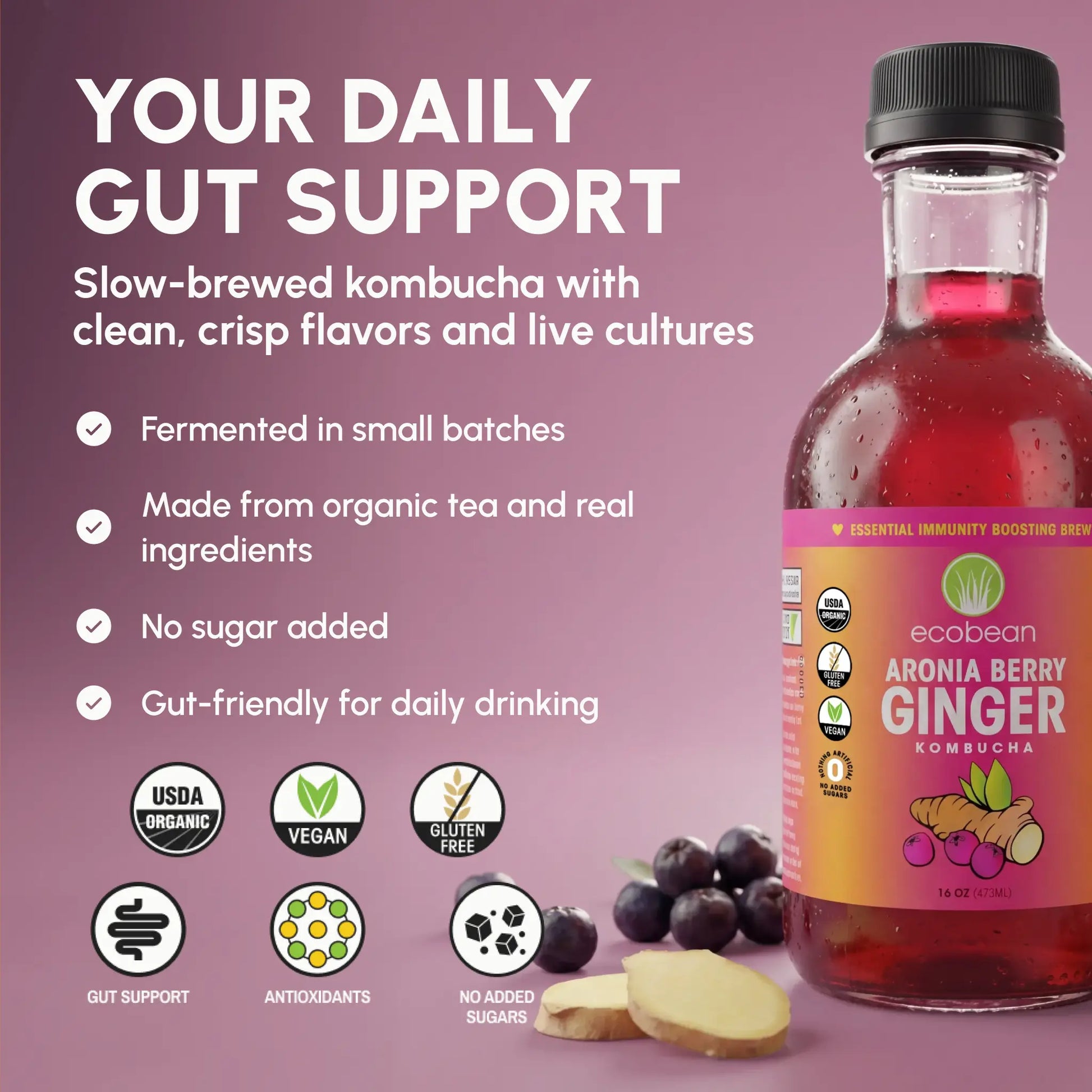 Ecobean - Kombucha - Aronia Berry Ginger - 3