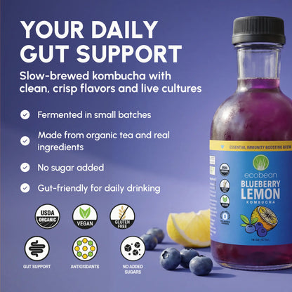 Ecobean - Kombucha - Blueberry Lemon - 3