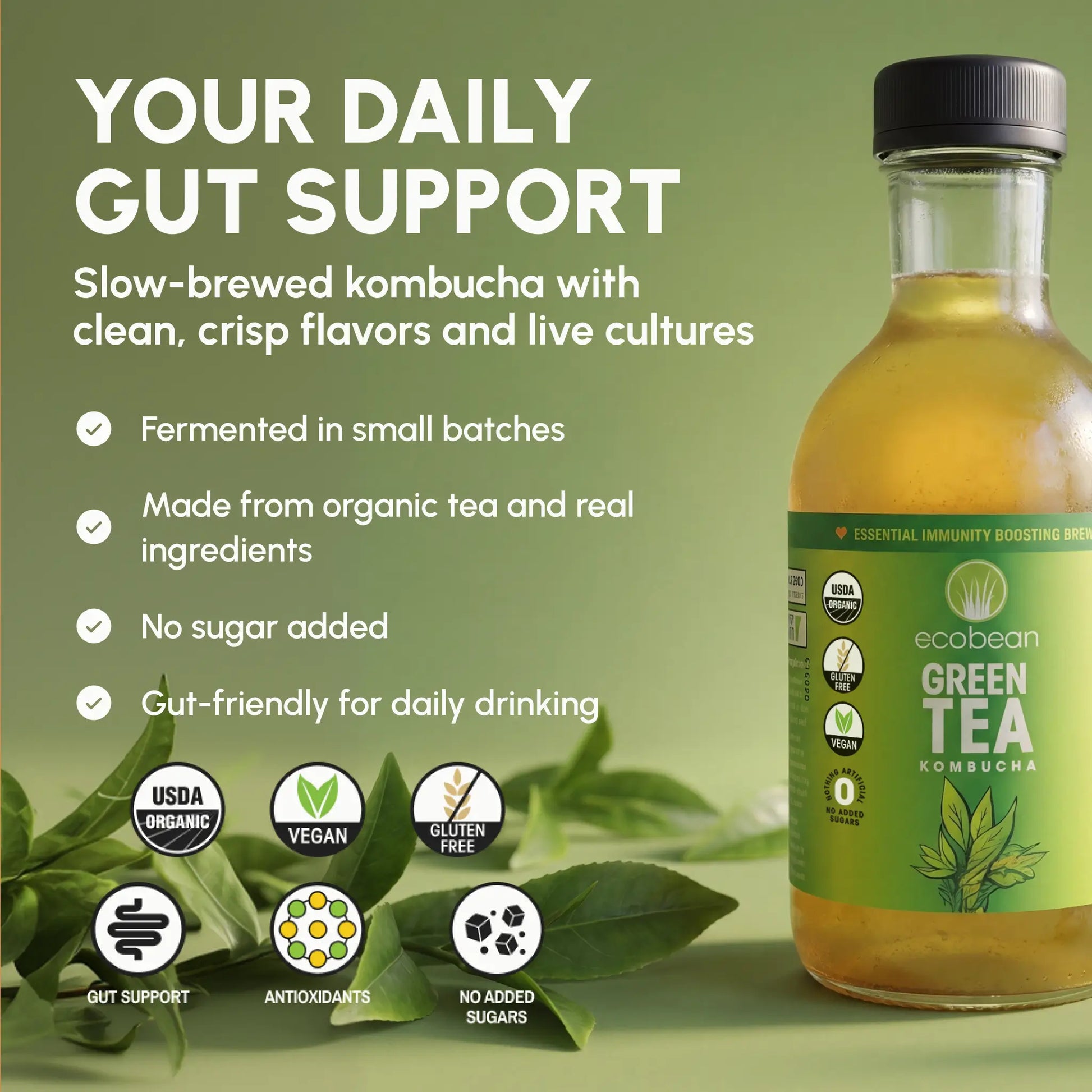 Ecobean - Kombucha - Green Tea - 3